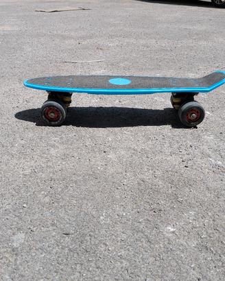 penny skateboard 