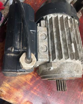 Motore elettrico monofase 220 volt