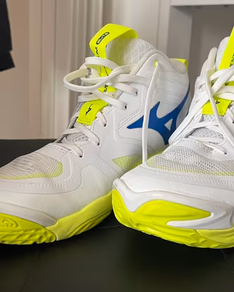 Mizuno Wave Momentum Elite
