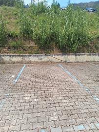 Posto auto a Monterosso al mare