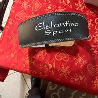 Cintura x palestra nuova