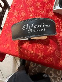 Cintura x palestra nuova