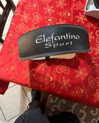 Cintura x palestra nuova