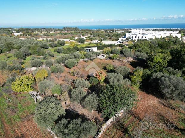 TER. AGRICOLO A POLIGNANO A MARE