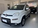 fiat-panda-1-3-mjt-s-s-4x4-antartica