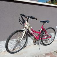 Bici '' LOMBARDO''  Mountain bike