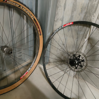 Ruote MTB Dtswiss XR361 29"