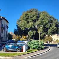 AffittasiAppartamento sito a narni