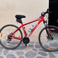 Bici Specialized