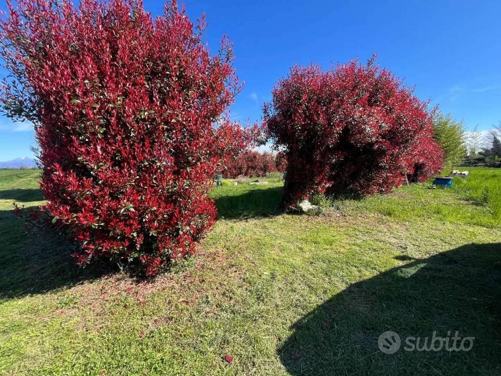Terreno di 600 m² a Vaprio d'Adda - Vista 3