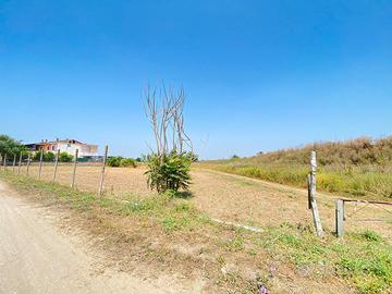 3Terreni Agricoli Via Arco Sant'Antonio FL288