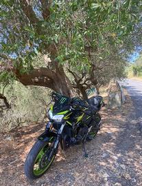 Kawasaki Z 650 - 2021