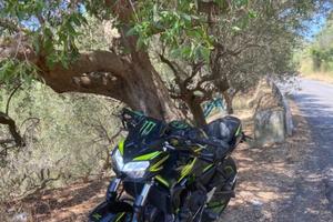 Kawasaki Z 650 - 2021