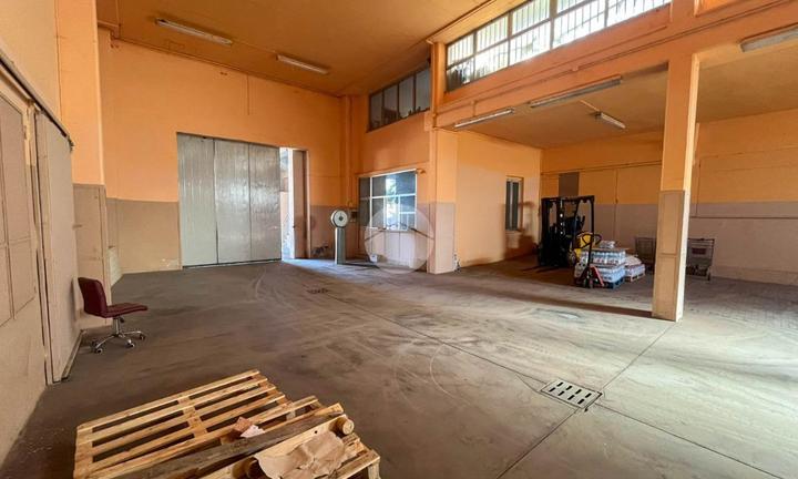 CAPANNONE A PONTIROLO NUOVO