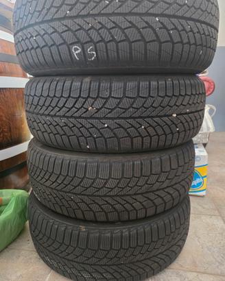 gomme neve