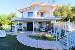 VILLA SINGOLA A VIBONATI