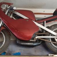 moto bimbo