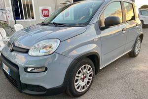 Fiat Panda 1.0 FireFly S&S Hybrid Red