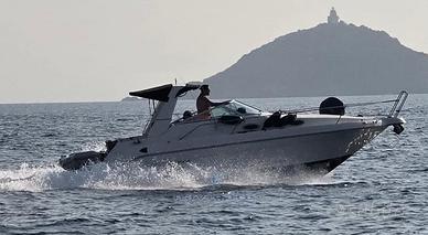 Sea Ray 250 Sundancer (1996)
