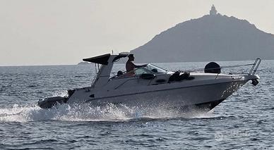 Sea Ray 250 Sundancer (1996)