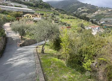 Terreno disponibile per impianto fotovoltaico