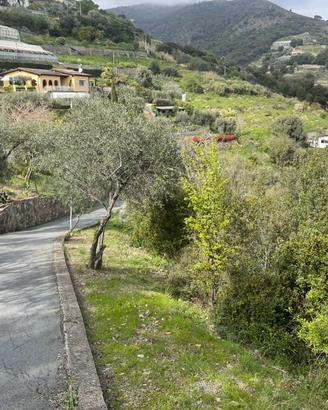 Terreno disponibile per impianto fotovoltaico