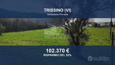 Immobile in asta di 23440 m² a Trissino