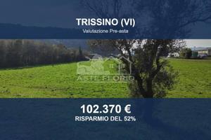 Immobile in asta di 23440 m² a Trissino