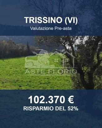 Immobile in asta di 23440 m² a Trissino