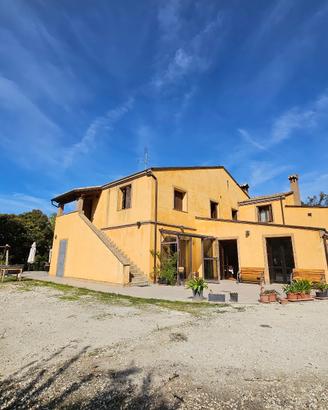 V 1438 - agriturismo - ancona