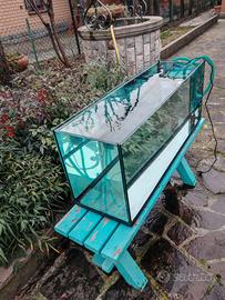 Acquario