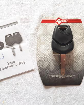 Chiave auto SILCA NE73EH2 con chip transponder