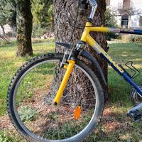mountanbike  Legnano
