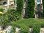 Immagine 14