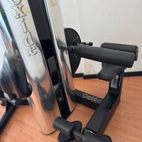 Palestra