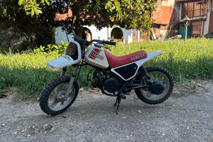 Yamaha PW50