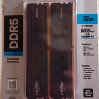 Ram Crucial ddr5 32gb