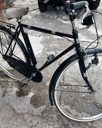 Bici da uomo
