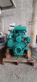 motore doosan