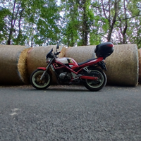 Bandit 400