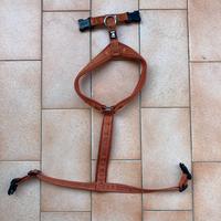 Pettorina Casual Y Hurtta 50-60cm