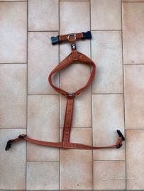 Pettorina Casual Y Hurtta 50-60cm