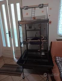 voliera per pappagalli 