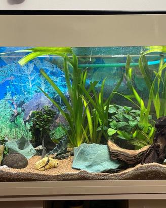 Acquario 200 litri Ferplast Dubai 