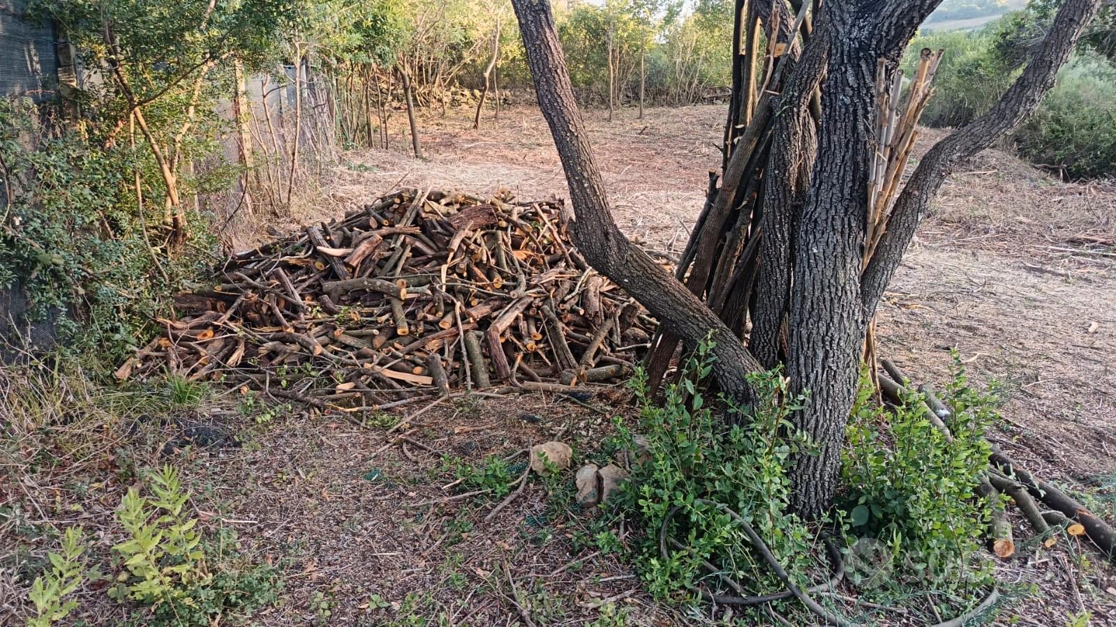 Terreno agricolo - Vista 5