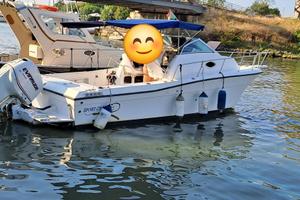 Barca americana SPORTCRAFT 231 WAC SUZUKI 250 2015