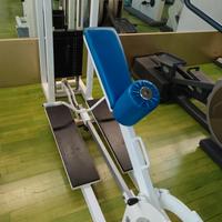attrezzo palestra schiena