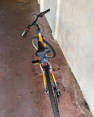 Mountain bike da ragazzo / ragazza