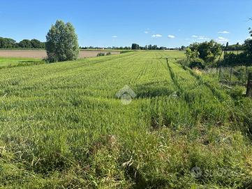 TER. AGRICOLO A VESCOVANA