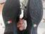 Immagine 2